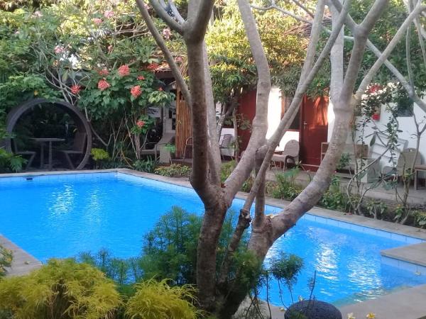 Yoga Lover : photo 6 de la chambre chambre double - vue sur jardin