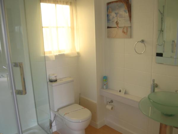 Rotorua Motel : photo 3 de la chambre studio d'affaires