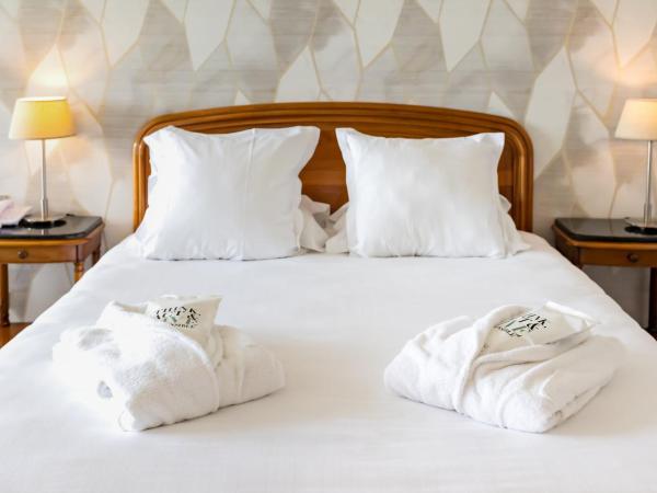 Le Relais Saint Michel : photo 5 de la chambre chambre lits jumeaux/double standard