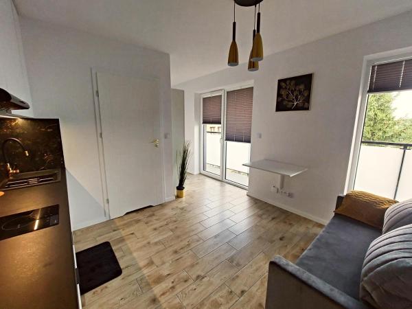 Royal Smart Apartments Cracow : photo 1 de la chambre chambre familiale avec salle de bains privative