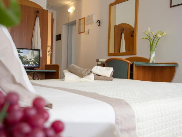 Hotel Nord Est : photo 3 de la chambre suite junior (4 adultes)