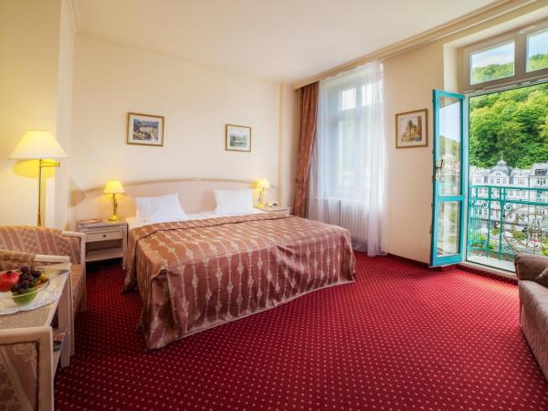 Interhotel Central : photo 2 de la chambre chambre double ou lits jumeaux standard