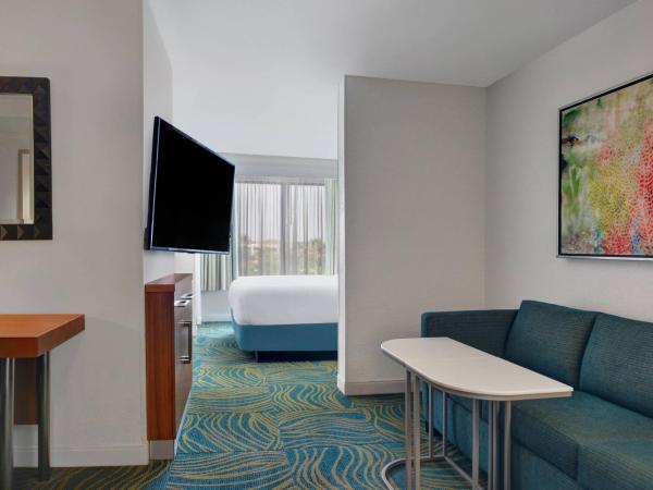 Springhill Suites Jacksonville : photo 1 de la chambre suite lit king-size avec canapé-lit