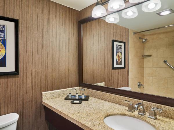 Sheraton North Houston at George Bush Intercontinental : photo 3 de la chambre chambre lit king-size