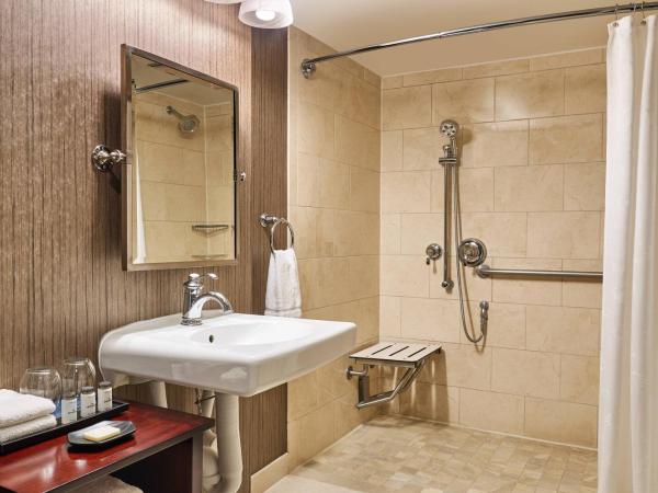 Sheraton North Houston at George Bush Intercontinental : photo 4 de la chambre chambre lit king-size