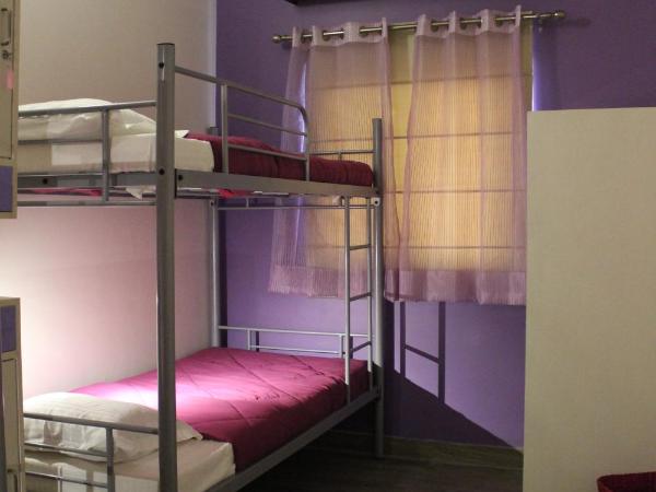 Joey's Hostel Delhi : photo 6 de la chambre lit dans dortoir mixte de 4 lits