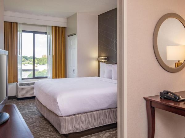 SpringHill Suites by Marriott Norfolk Virginia Beach : photo 1 de la chambre  suite 1 lit king-size avec micro-ondes/mini-réfrigérateur, canapé-lit et salon