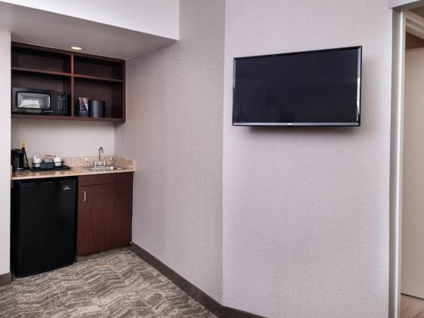 SpringHill Suites by Marriott Pittsburgh North Shore : photo 1 de la chambre executive king suite, 1 bedroom executive suite