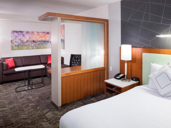 SpringHill Suites by Marriott Salt Lake City Airport : photo 4 de la chambre studio lit king-size avec canapé-lit