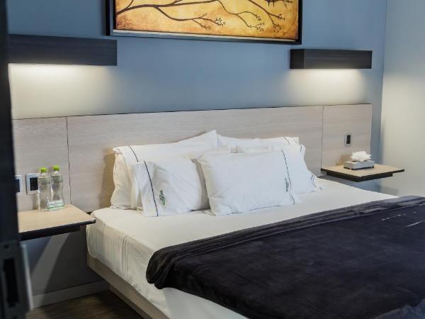 HOTEL LEMON GREEN -Zona Expo Frente al Centro de Convenciones : photo 1 de la chambre chambre double