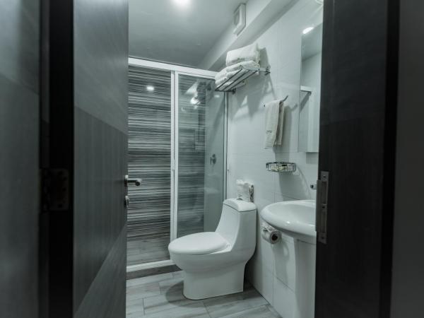 HOTEL LEMON GREEN -Zona Expo Frente al Centro de Convenciones : photo 9 de la chambre chambre lits jumeaux