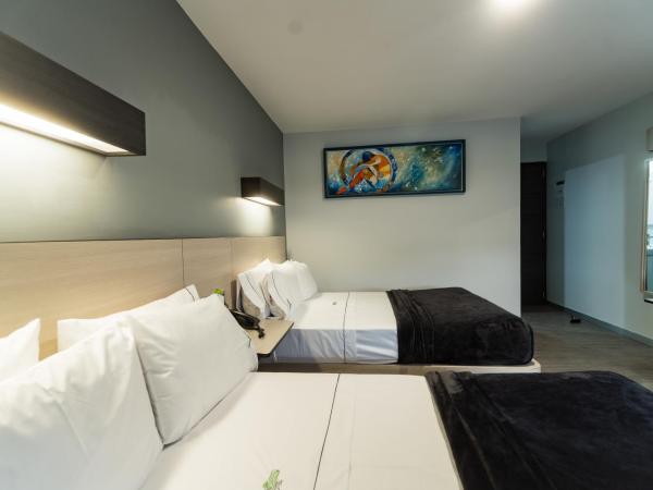 HOTEL LEMON GREEN -Zona Expo Frente al Centro de Convenciones : photo 10 de la chambre chambre lits jumeaux