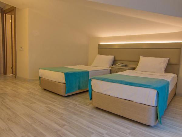 Palmea Hotel : photo 5 de la chambre chambre double ou lits jumeaux standard