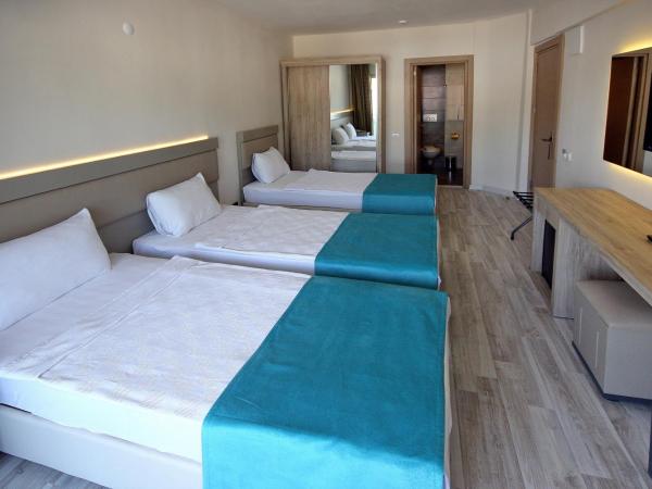 Palmea Hotel : photo 1 de la chambre chambre triple standard