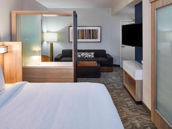 SpringHill Suites by Marriott Nashville Downtown/Convention Center : photo 3 de la chambre suite lit king-size avec lit gigogne - adaptée aux personnes malentendantes