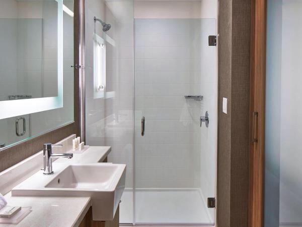 SpringHill Suites by Marriott Nashville Downtown/Convention Center : photo 4 de la chambre suite lit king-size avec canapé-lit