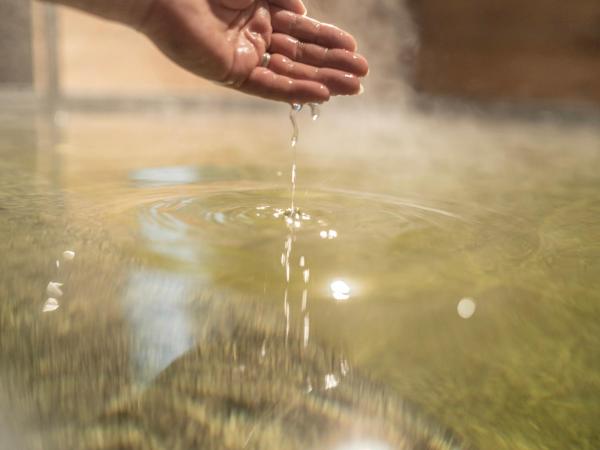 Super Hotel Premier Namba Shinsaibashi Natural Hot Spring : photo 9 de la chambre chambre double avec canapé-lit