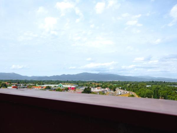 Holiday Inn Mulhouse by IHG : photo 2 de la chambre chambre standard lit queen-size