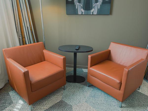 Holiday Inn Mulhouse by IHG : photo 2 de la chambre chambre premium