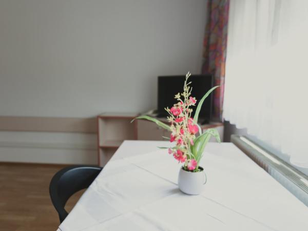 Sommerhotel Karwendel : photo 3 de la chambre chambre simple