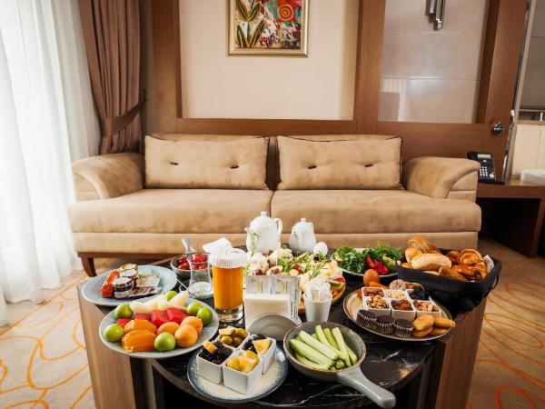 Holiday Inn Ankara-Kavaklidere, an IHG Hotel : photo 2 de la chambre chambre lit king-size avec baignoire spa