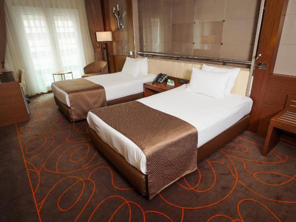 Holiday Inn Ankara-Kavaklidere, an IHG Hotel : photo 1 de la chambre chambre supérieure lits jumeaux