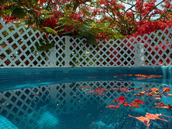 Casa Wayak : photo 2 de la chambre chambre double deluxe avec douche