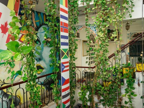 Dreamyard Udaipur : photo 3 de la chambre lit dans dortoir mixte de 8 lits 