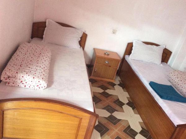 Evergreen guest house : photo 1 de la chambre chambre lits jumeaux - vue sur montagne