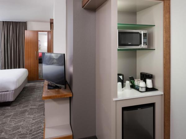 SpringHill Suites by Marriott Salt Lake City Airport : photo 5 de la chambre studio lit king-size avec canapé-lit