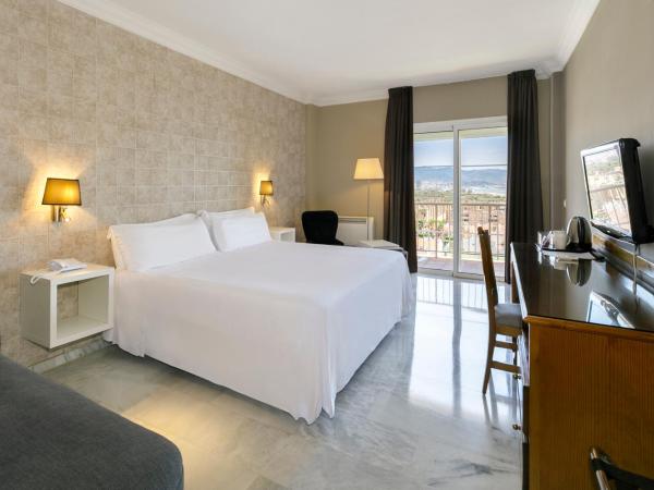 Sol Guadalmar : photo 3 de la chambre suite junior