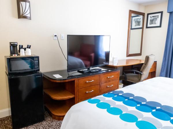 Baymont by Wyndham College Park Atlanta Airport South : photo 8 de la chambre chambre lit king-size pour personnes à mobilité réduite - baignoire avec barres d’appui - non-fumeurs