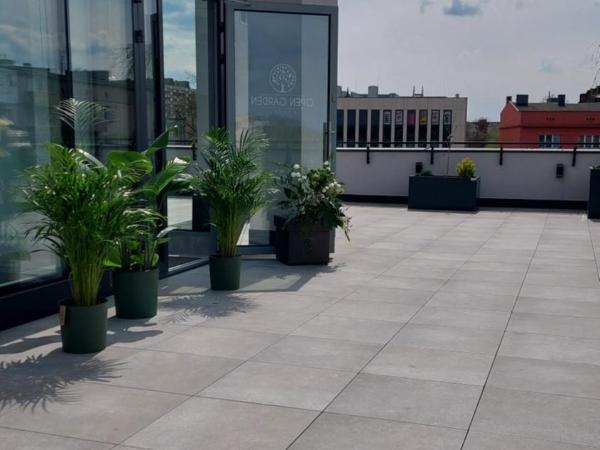 Hostel OPEN GARDEN : photo 4 de la chambre chambre quadruple avec salle de bains commune