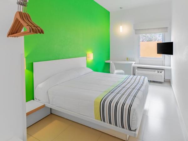 City Express Junior by Marriott Veracruz Aeropuerto : photo 1 de la chambre chambre lit queen-size 