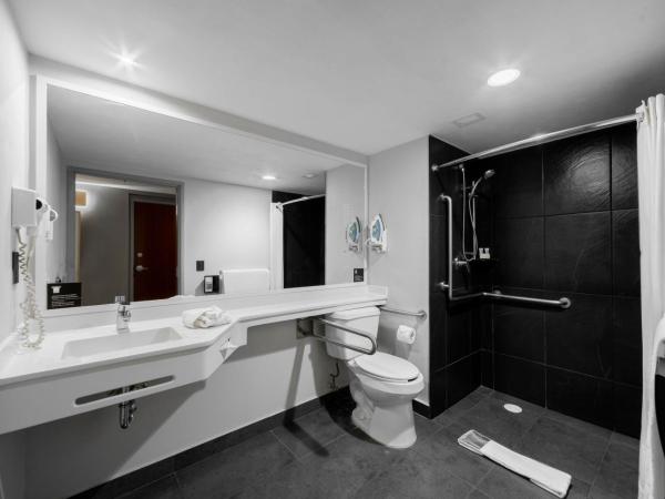 City Express Plus by Marriott Guadalajara Palomar : photo 7 de la chambre chambre lit queen-size 