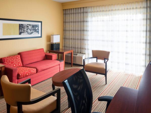 Courtyard by Marriott Indianapolis Airport : photo 2 de la chambre suite 1 chambre avec 1 lit king-size et canapé-lit