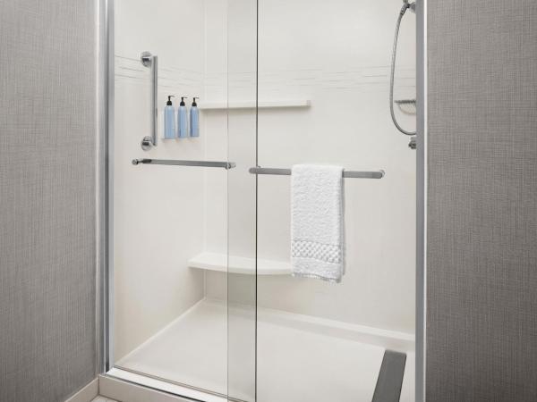 Residence Inn Indianapolis Northwest : photo 6 de la chambre suite studio lit king-size avec canapé-lit