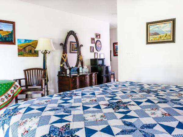 Red Horse Bed and Breakfast : photo 4 de la chambre chambre lit king-size avec douche accessible en fauteuil roulant - adaptée aux personnes à mobilité réduite - animaux domestiques admis