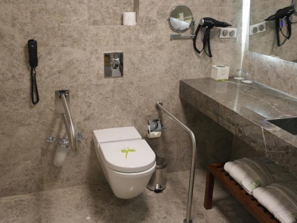 Renata Boutique Hotel Sisli : photo 5 de la chambre chambre premier - accessible aux personnes à mobilité réduite