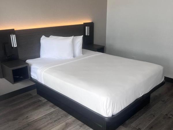 Motel 6-Orlando, FL - Winter Park : photo 4 de la chambre chambre double - accessible aux personnes à mobilité réduite - douche accessible en fauteuil roulant