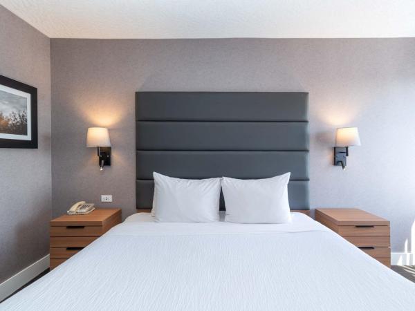 Sandman Hotel Victoria : photo 3 de la chambre suite standard avec 1 lit king-size, canapé-lit, kitchenette