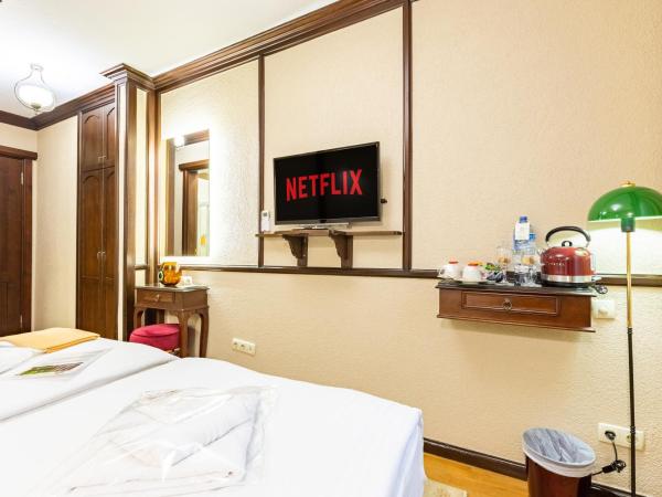 Best Point Hotel-Old City Sultanahmet : photo 2 de la chambre standard double or twin room 14m2