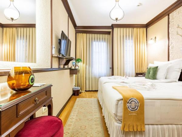 Best Point Hotel-Old City Sultanahmet : photo 6 de la chambre standard double or twin room 14m2