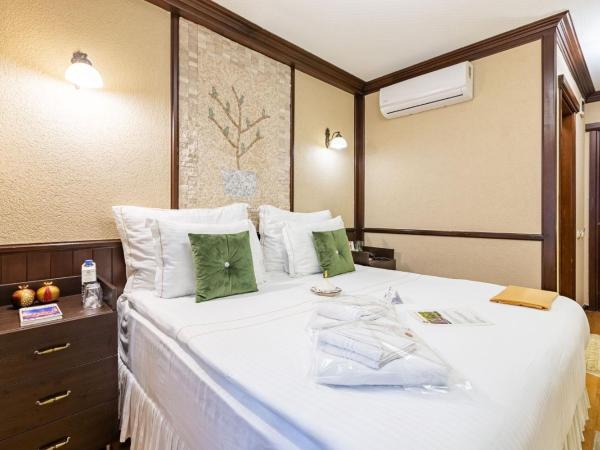 Best Point Hotel-Old City Sultanahmet : photo 7 de la chambre standard double or twin room 14m2