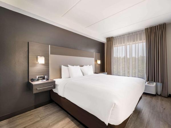 Comfort Suites Northlake : photo 1 de la chambre suite lit king-size – non-fumeurs