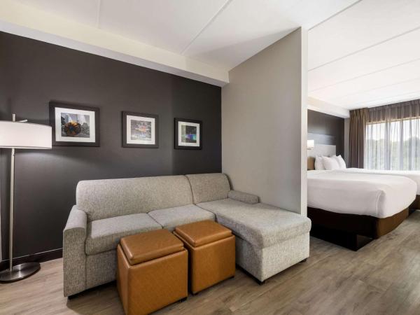 Comfort Suites Northlake : photo 4 de la chambre suite 2 lits queen-size - non-fumeurs