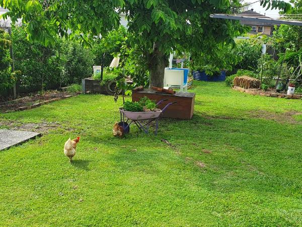 Sustainable B&B by the Bay : photo 8 de la chambre chambre lit queen-size deluxe