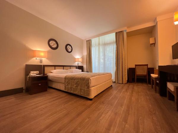 MIRADA DEL MAR HOTEL : photo 3 de la chambre chambre double - vue sur jardin