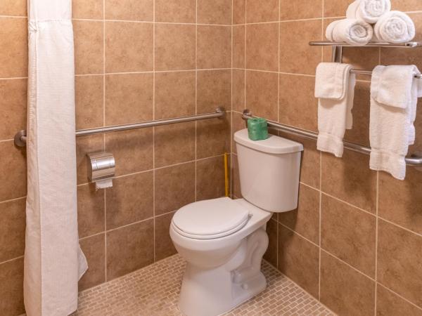 Cottonwood Suites Savannah Hotel & Conference Center : photo 1 de la chambre chambre lit king-size - non-fumeurs