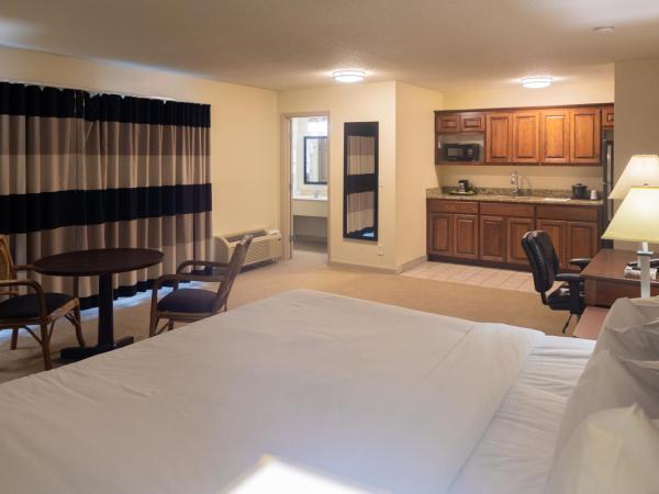 Cottonwood Suites Savannah Hotel & Conference Center : photo 2 de la chambre chambre lit king-size - non-fumeurs